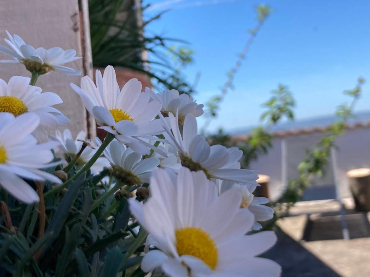 Canduleri Orgosolo Dış mekan fotoğraf