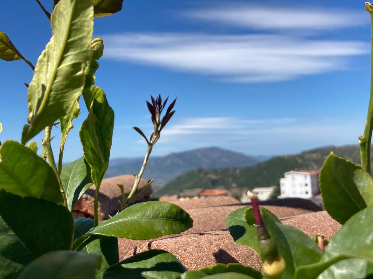 Canduleri Orgosolo Dış mekan fotoğraf